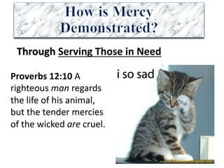 Through	Serving	Those	in	Need
Proverbs	12:10	A	
righteous	man regards	
the	life	of	his	animal,	
but	the	tender	mercies	
of	the	wicked	are cruel.	
 