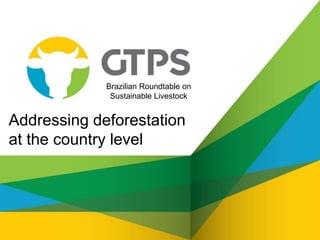 Brazilian Roundtable on
Sustainable Livestock
Addressing deforestation
at the country level
 