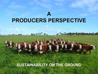A
PRODUCERS PERSPECTIVE
SUSTAINABILITY ON THE GROUND
 