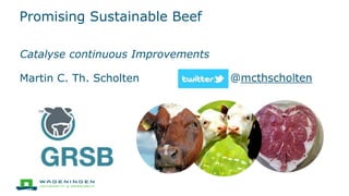 Promising Sustainable Beef
Catalyse continuous Improvements
Martin C. Th. Scholten
 