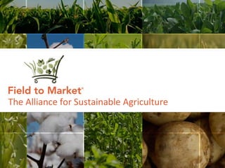 The Alliance for Sustainable Agriculture
1
 