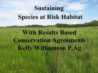Sustaining
Species at Risk Habitat
With Results Based
Conservation Agreements
Kelly Williamson P.Ag
 