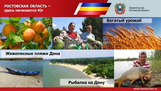 Правительство
Ростовской области
РОСТОВСКАЯ ОБЛАСТЬ –
здесь начинается Юг
Рыбалка на Дону
Богатый урожай
Живописные пляжи Дона
 