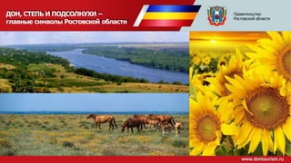 ДОН, СТЕПЬ И ПОДСОЛНУХИ –
главные символы Ростовской области
Правительство
Ростовской области
 