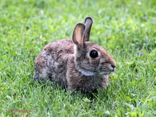 Bildquelle: RobinC720,
    Stock_XChnge
 