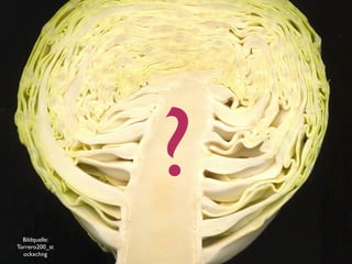 ?
  Bildquelle:
Torrero200_st
  ockxchng
 