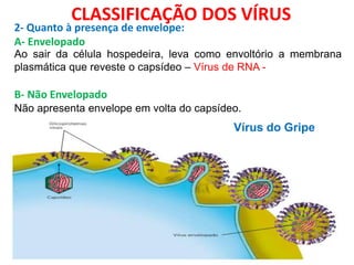 CLASSIFICAÇÃO DOS VÍRUS
Ao sair da célula hospedeira, leva como envoltório a membrana
plasmática que reveste o capsídeo – Vírus de RNA -
B- Não Envelopado
Não apresenta envelope em volta do capsídeo.
Vírus do Gripe
2- Quanto à presença de envelope:
A- Envelopado
 