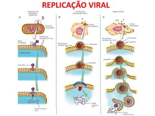 REPLICAÇÃO VIRAL
 
