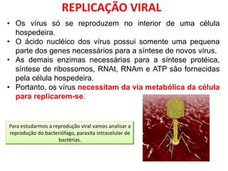 • Os vírus só se reproduzem no interior de uma célula
hospedeira.
• O ácido nucléico dos vírus possui somente uma pequena
parte dos genes necessários para a síntese de novos vírus.
• As demais enzimas necessárias para a síntese protéica,
síntese de ribossomos, RNAt, RNAm e ATP são fornecidas
pela célula hospedeira.
• Portanto, os vírus necessitam da via metabólica da célula
para replicarem-se.
Para estudarmos a reprodução viral vamos analisar a
reprodução do bacteriófago, parasita intracelular de
bactérias.
REPLICAÇÃO VIRAL
 
