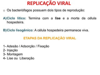 o Os bacteriófagos possuem dois tipos de reprodução:
A)Ciclo lítico: Termina com a lise e a morte da célula
hospedeira.
B)Ciclo lisogênico: A célula hospedeira permanece viva.
ETAPAS DA REPLICAÇÃO VIRAL
1- Adesão / Adsorção / Fixação
2- Injeção
3- Montagem
4- Lise ou Liberação
REPLICAÇÃO VIRAL
 