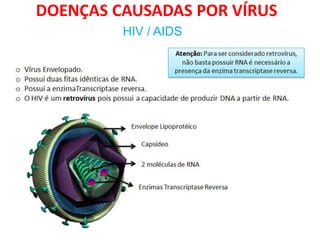 DOENÇAS CAUSADAS POR VÍRUS
HIV / AIDS
 