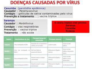 DOENÇAS CAUSADAS POR VÍRUS
A vacina tríplice viral previne:
Sarampo
Caxumba
Rubéola
 