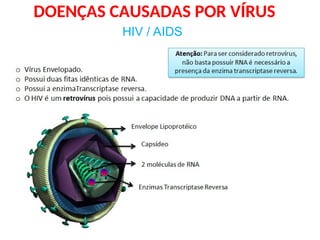 DOENÇAS CAUSADAS POR VÍRUS
HIV / AIDS
 