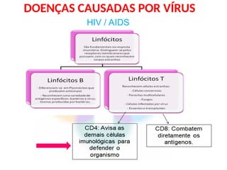 DOENÇAS CAUSADAS POR VÍRUS
HIV / AIDS
 