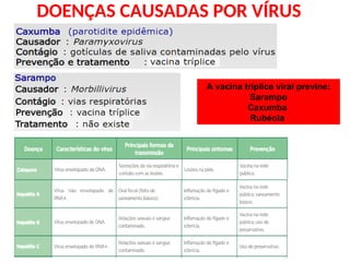 DOENÇAS CAUSADAS POR VÍRUS
A vacina tríplice viral previne:
Sarampo
Caxumba
Rubéola
 