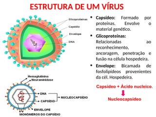 ESTRUTURA DE UM VÍRUS
• Capsídeo: Formado por
proteínas. Envolve o
material genético.
• Glicoproteínas:
Relacionadas ao
reconhecimento,
ancoragem, penetração e
fusão na célula hospedeira.
• Envelope: Bicamada de
fosfolipídeos provenientes
da cél. Hospedeira.
Capsídeo + Ácido nucleico.
Nucleocapsídeo
 