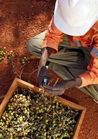 Role of mining in national economies – third editionii
 