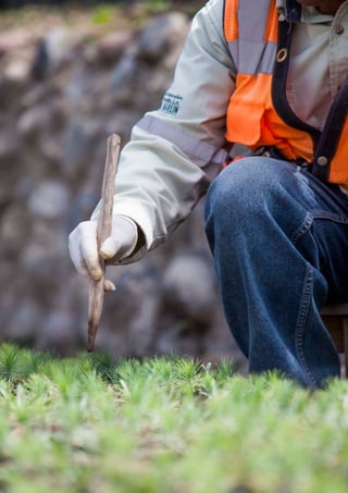 Role of mining in national economies – third edition 19
3
 