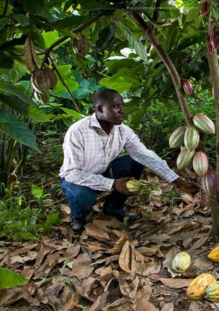 Role of mining in national economies – third edition28
 