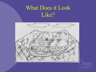 What Does it Look
Like?
 