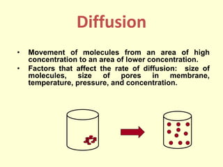 1610773947_FundamentalsofPlantPhysiology3.1Theory-LectureNote-Jan2021.pdf
