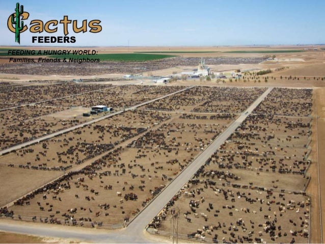 Kevin Hazelwood Antibiotic Stewardship Updates By Species Beef