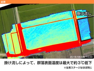 UAV近接リモートセンシングによる水稲の群落表面温度の観測