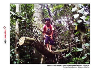 CIRILO EN EL MONTE, BOCA PARIAMANÚMADRE DE DIOS.
Fotografía de Delmira Góngora, 32 años
 