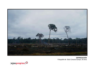 DEPREDACIÓN
Fotografía de Sixto Carazas Quispe, 59 años
 