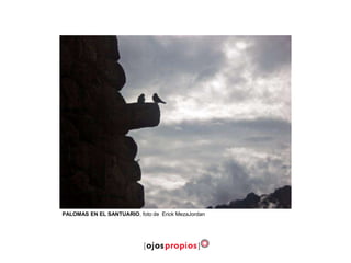 PALOMAS EN EL SANTUARIO, foto de Erick MezaJordan
 