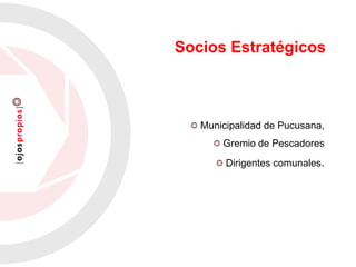 Municipalidad de Pucusana,
Gremio de Pescadores
Dirigentes comunales.
Socios Estratégicos
 