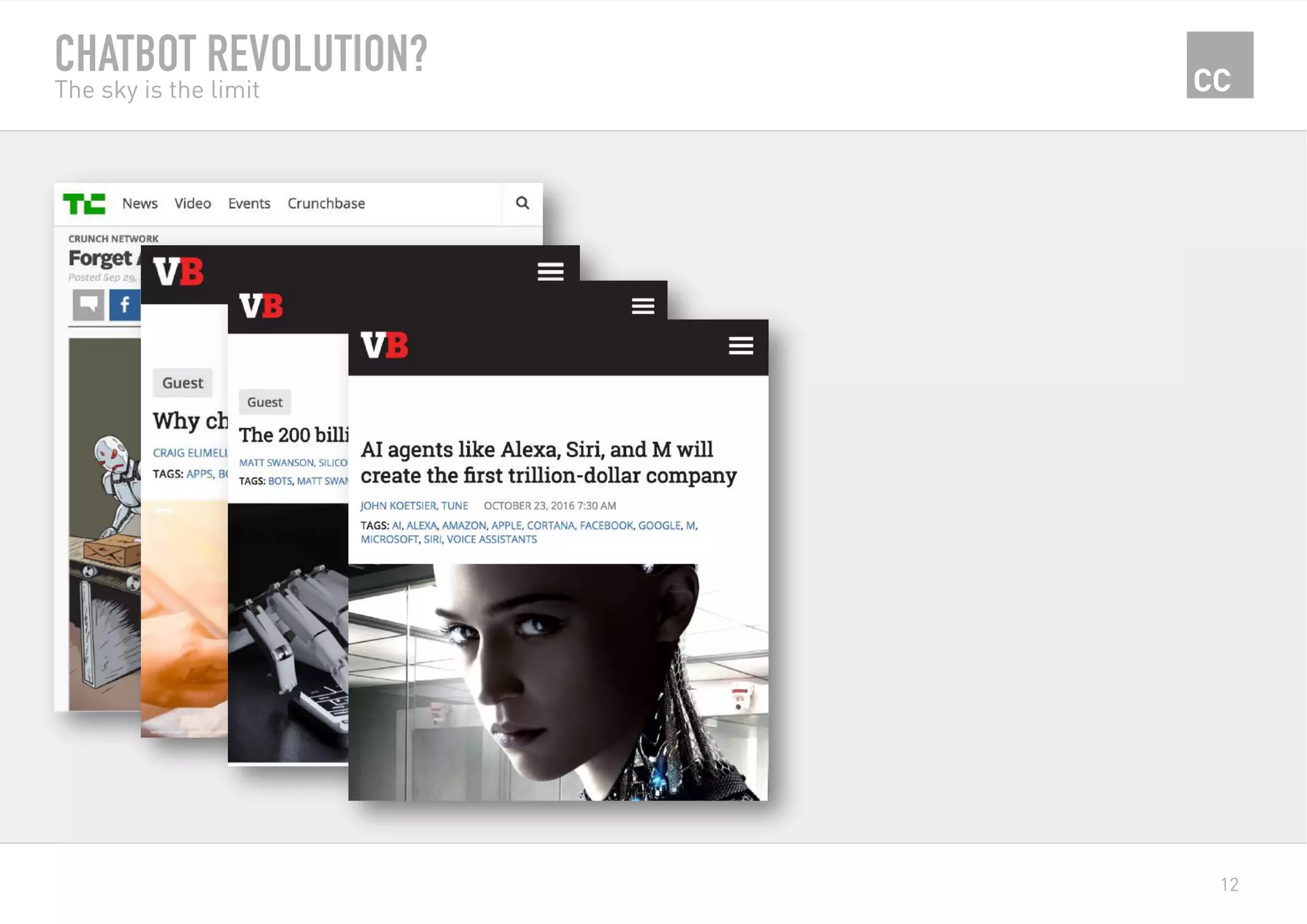 12
CHATBOT REVOLUTION?
The sky is the limit
 