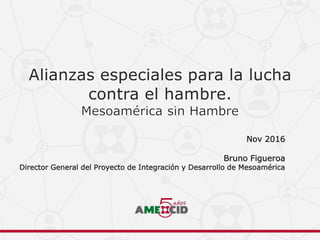 Nov 2016
Bruno Figueroa
Director General del Proyecto de Integración y Desarrollo de Mesoamérica
 