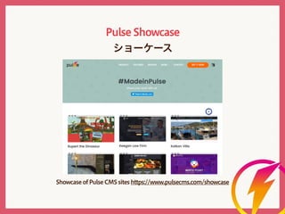 Pulse CMS Meetup #2