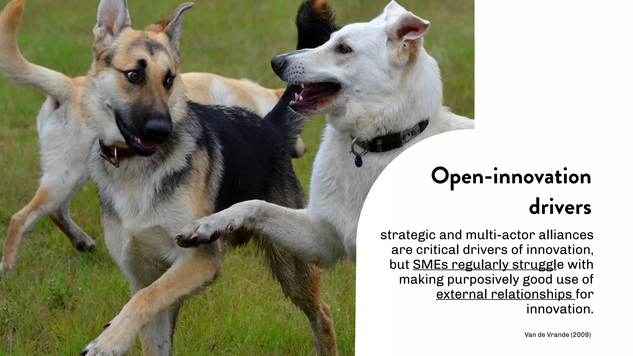 strategic and multi-actor alliances
are critical drivers of innovation,
but SMEs regularly struggle with
making purposively good use of
external relationships for
innovation.
Open-innovation
drivers
Van de Vrande (2009)
 