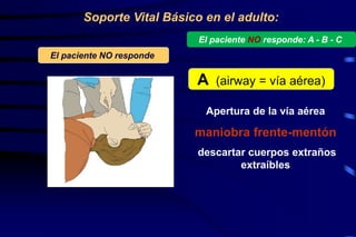 Apertura de la vía aérea
maniobra frente-mentón
descartar cuerpos extraños
extraíbles
El paciente NO responde
A (airway = vía aérea)
Soporte Vital Básico en el adulto:
El paciente NO responde: A - B - C
 