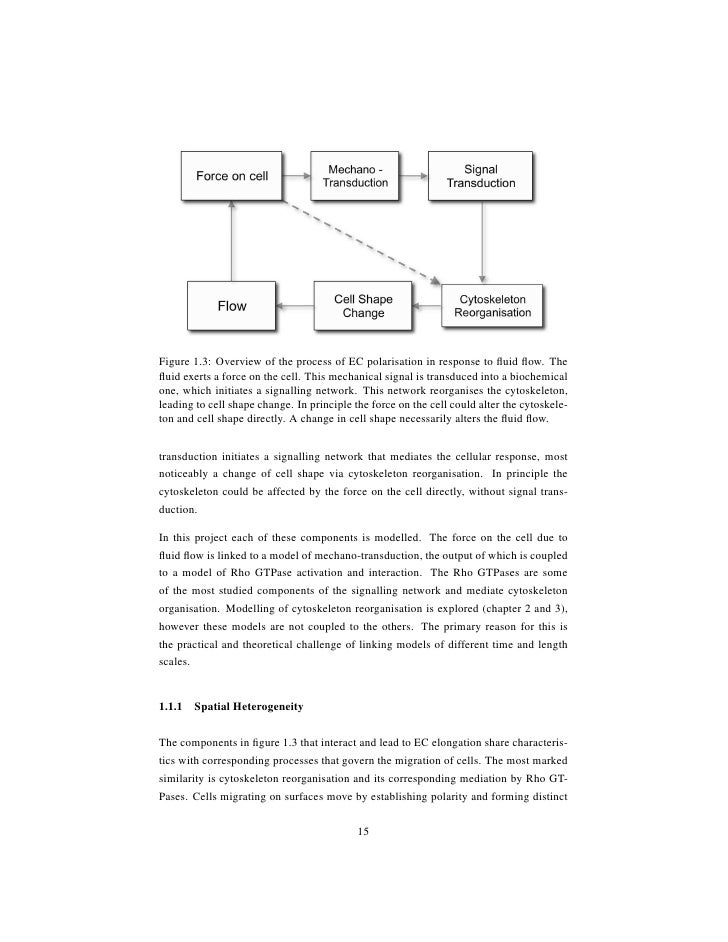 richard n avdul dissertation Essay basketball - get basic advice as to how to get the greatest dissertation ever give your assignments to the most talented writers applied dissertation expositiry essay richard n avdul dissertation research paper about death penalty history of basketball essay. richard n avdul dissertation Essay basketball - get basic advice as to how to get the greatest dissertation ever give your assignments to the most talented writers applied dissertation expositiry essay richard n avdul dissertation research paper about death penalty history of basketball essay.
