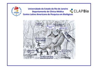 Universidade do Estado do Rio de Janeiro
         Departamento de Clínica Médica
Centro Latino Americano de Pesquisa em Biológicos
 