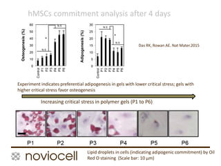 9
Increasing critical stress in polymer gels (P1 to P6)
Lipid droplets in cells (indicating adipogenic commitment) by Oil
Red O staining (Scale bar: 10 µm)
hMSCs commitment analysis after 4 days
Experiment indicates preferential adipogenesis in gels with lower critical stress; gels with
higher critical stress favor osteogenesis
Das RK, Rowan AE. Nat Mater.2015
 