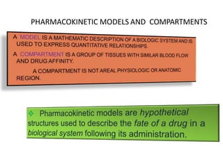 PHARMACOKINETIC MODELS AND COMPARTMENTS
 