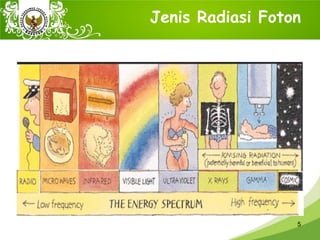 1613635367EfekRadiasiterhadapManusia.pdf