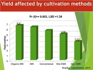 0
1
2
3
4
5
6
7
Organic SRI SRI Conventional Wet DSR Dry DSR
6.6
4.98
3.52
Yield(mt/ha)
Pr (f)>= 0.003, LSD =1.39
Yield af...
