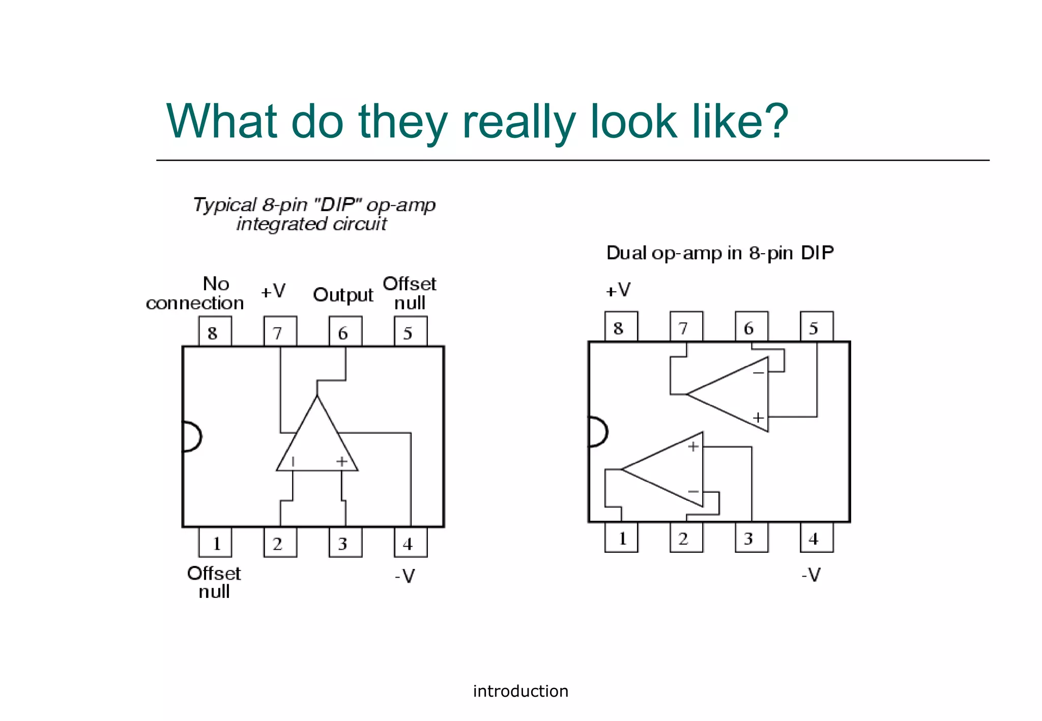 introduction
What do they really look like?
 