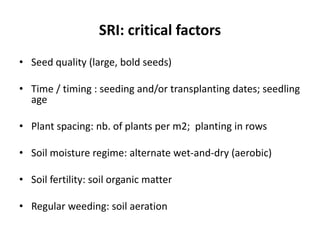 SRI: critical factors
• Seed quality (large, bold seeds)
• Time / timing : seeding and/or transplanting dates; seedling
age
• Plant spacing: nb. of plants per m2; planting in rows
• Soil moisture regime: alternate wet-and-dry (aerobic)
• Soil fertility: soil organic matter
• Regular weeding: soil aeration
 