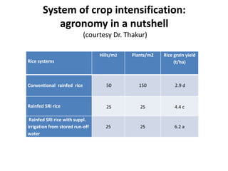 System of crop intensification:
agronomy in a nutshell
(courtesy Dr. Thakur)
Rice systems
Hills/m2 Plants/m2 Rice grain yield
(t/ha)
Conventional rainfed rice 50 150 2.9 d
Rainfed SRI rice 25 25 4.4 c
Rainfed SRI rice with suppl.
irrigation from stored run-off
water
25 25 6.2 a
 