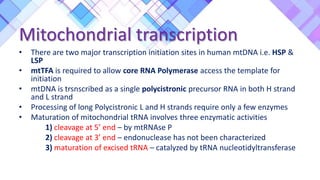 Mitochondrial transcription
• There are two major transcription initiation sites in human mtDNA i.e. HSP &
LSP
• mtTFA is required to allow core RNA Polymerase access the template for
initiation
• mtDNA is trsnscribed as a single polycistronic precursor RNA in both H strand
and L strand
• Processing of long Polycistronic L and H strands require only a few enzymes
• Maturation of mitochondrial tRNA involves three enzymatic activities
1) cleavage at 5’ end – by mtRNAse P
2) cleavage at 3’ end – endonuclease has not been characterized
3) maturation of excised tRNA – catalyzed by tRNA nucleotidyltransferase
 