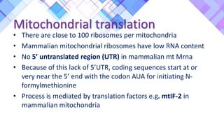 Mitochondrial translation
• There are close to 100 ribosomes per mitochondria
• Mammalian mitochondrial ribosomes have low RNA content
• No 5’ untranslated region (UTR) in mammalian mt Mrna
• Because of this lack of 5’UTR, coding sequences start at or
very near the 5’ end with the codon AUA for initiating N-
formylmethionine
• Process is mediated by translation factors e.g. mtIF-2 in
mammalian mitochondria
 