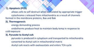1). Apoptosis (PCD)
allows cells to self destruct when stimulated by appropriate trigger
cytochrome c released from mitochondria as a result of channels
formed in the membrane proteins, Bax and Bak
2). Thermogenesis
energy demanding process
endotherms produce heat to maintain body temp in response to
cold exposure
3). Pyruvate to Acetyl coA
pyruvate is produced in cytoplasm and transported to mitochondria
converted to Acetyl coA in mitochondrial matrix
Acetyl coA reacts with oxaloacetate and enters TCA cycle
 