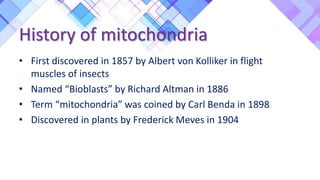 History of mitochondria
• First discovered in 1857 by Albert von Kolliker in flight
muscles of insects
• Named “Bioblasts” by Richard Altman in 1886
• Term “mitochondria” was coined by Carl Benda in 1898
• Discovered in plants by Frederick Meves in 1904
 