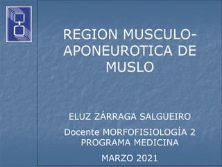 REGION MUSCULO-
APONEUROTICA DE
MUSLO
ELUZ ZÁRRAGA SALGUEIRO
Docente MORFOFISIOLOGÍA 2
PROGRAMA MEDICINA
MARZO 2021
 